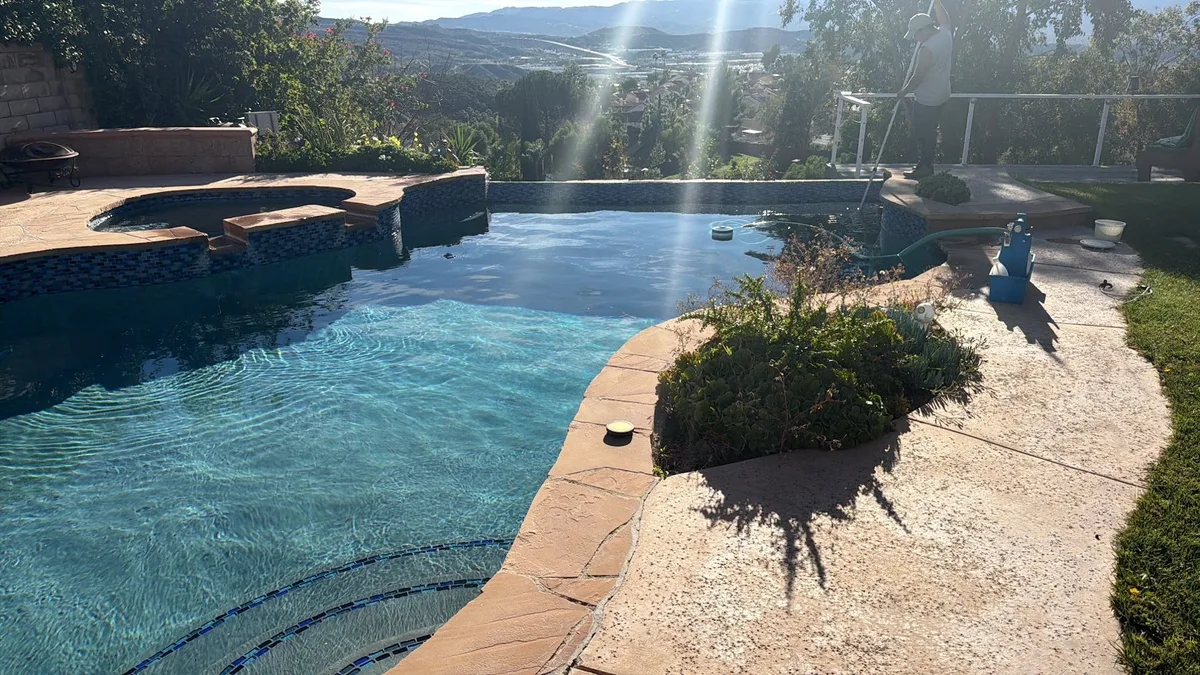 Sunlit backyard pool with landscaping