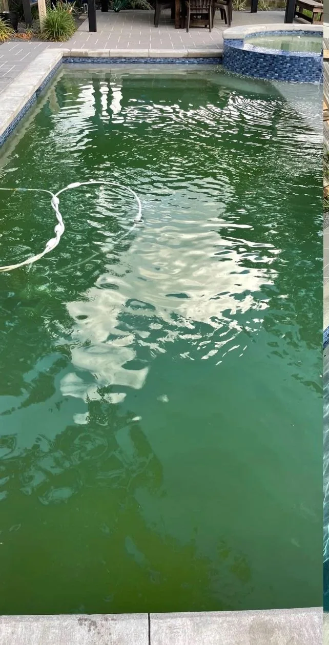 Green backyard pool water in the before half of the supplied comparison
