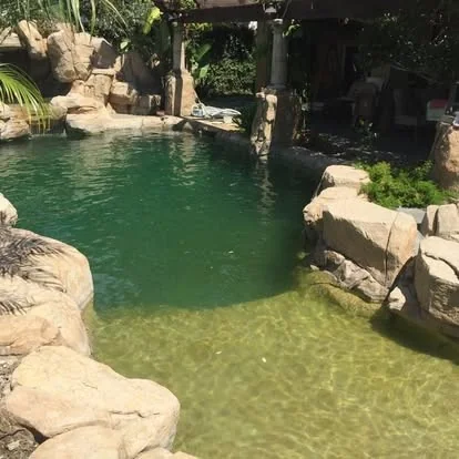 Rock-lined pool with green water and natural stone surroundings