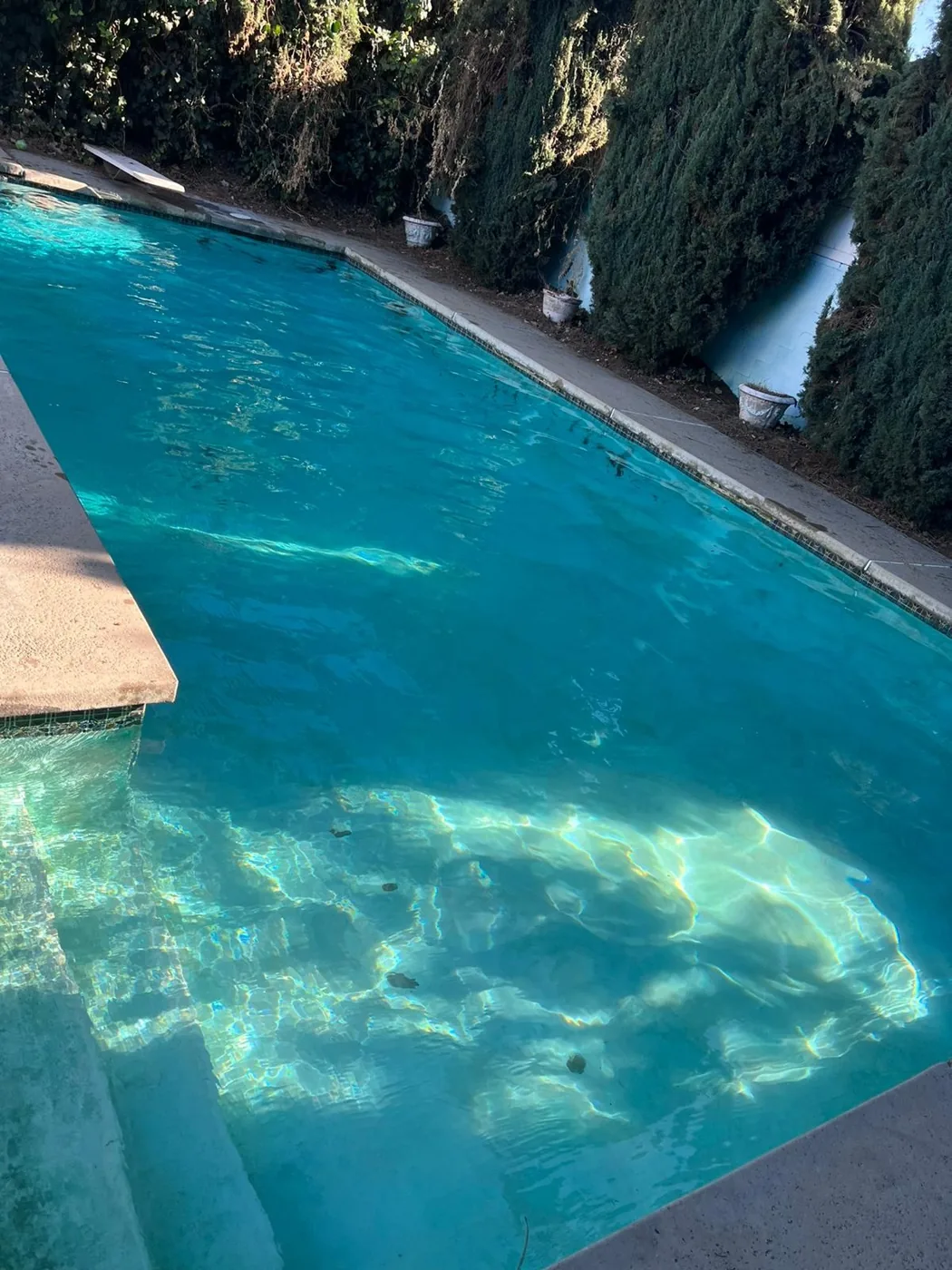 Clear blue pool water beside stone coping and hedges